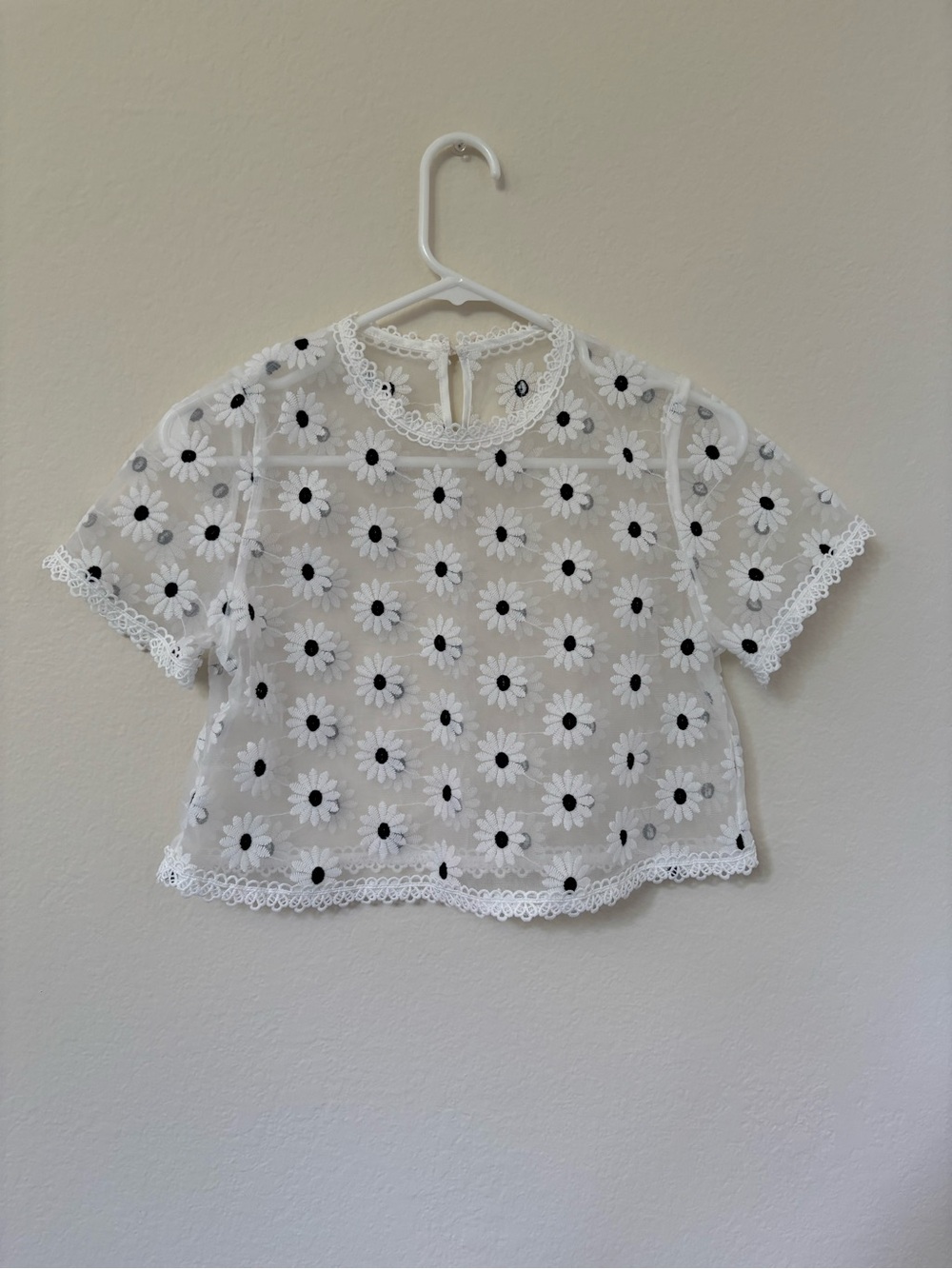Sheer Daisy Embroidered Short Sleeve Crop Top